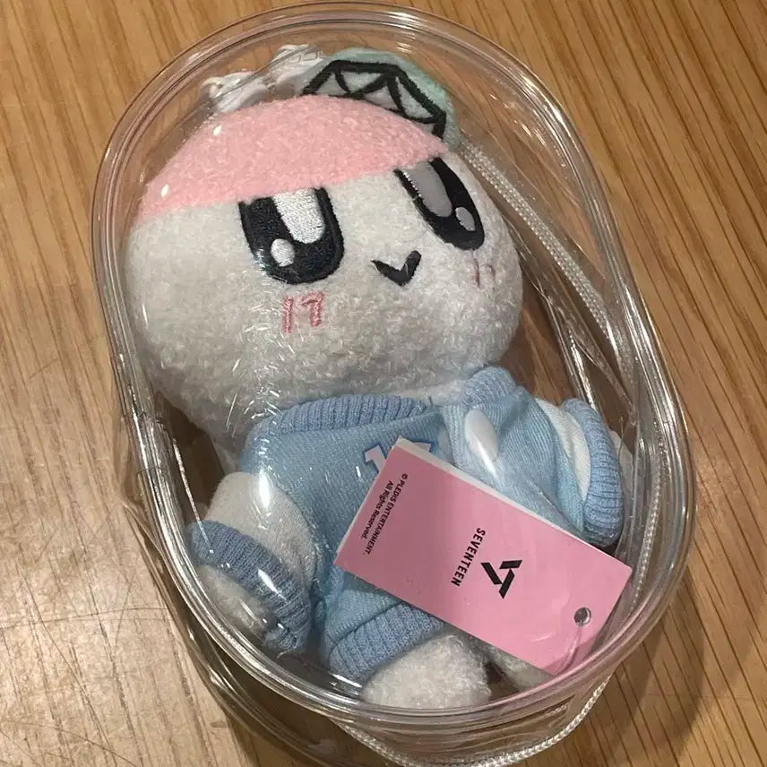 세븐틴 봉봉이 +디노포토카드