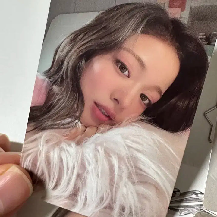 프로미스나인 포카