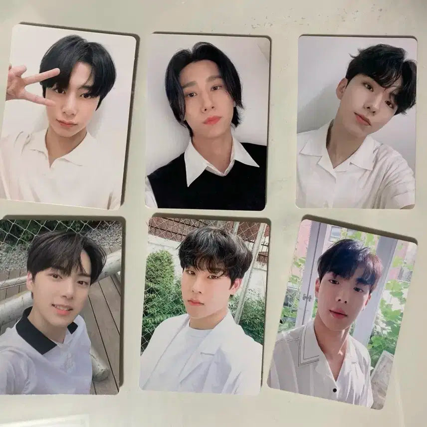 (급처) 몬스타엑스 시그 포카 일괄