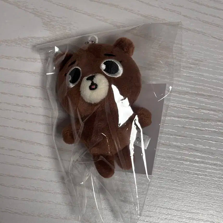 데이식스 일본 엠디 백참
