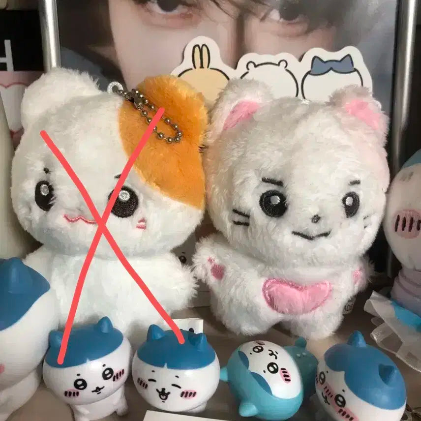 콩토리 판매 성한빈 인형 판매