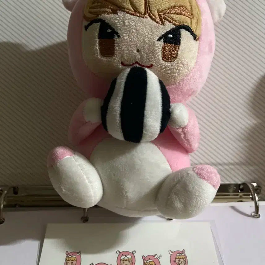 샤이니 키 범찌 인형 엽서 포함
