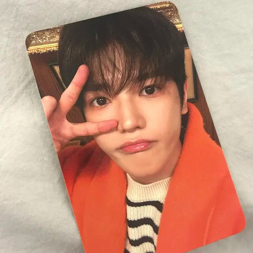비델포미 스테레오 태용