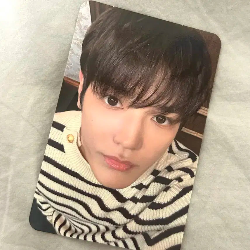 비델포미 하우스 태용