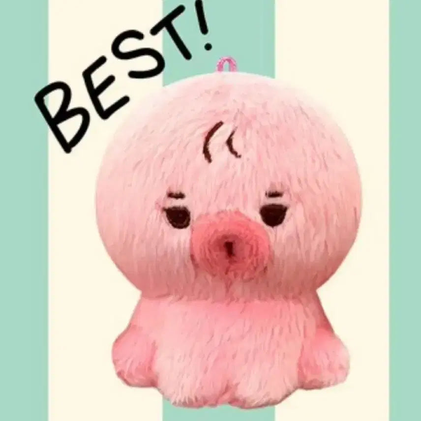 더보이즈 김선우 떤코 인형