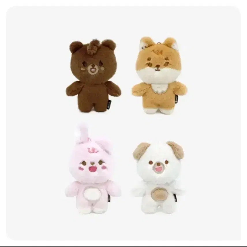 쁘띠멀즈 필