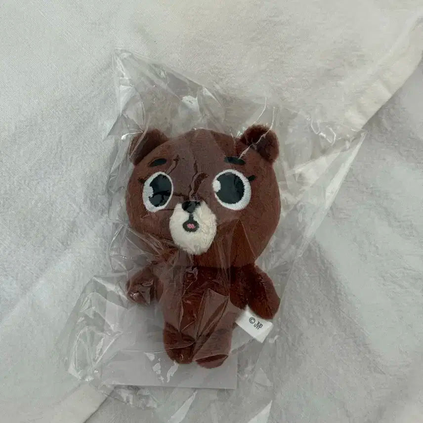 데이식스 데니멀즈 백참 방 방이