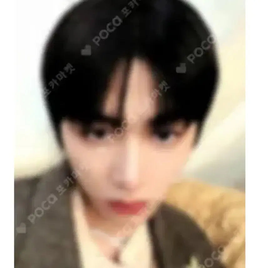 보넥도태산포카양도합니다