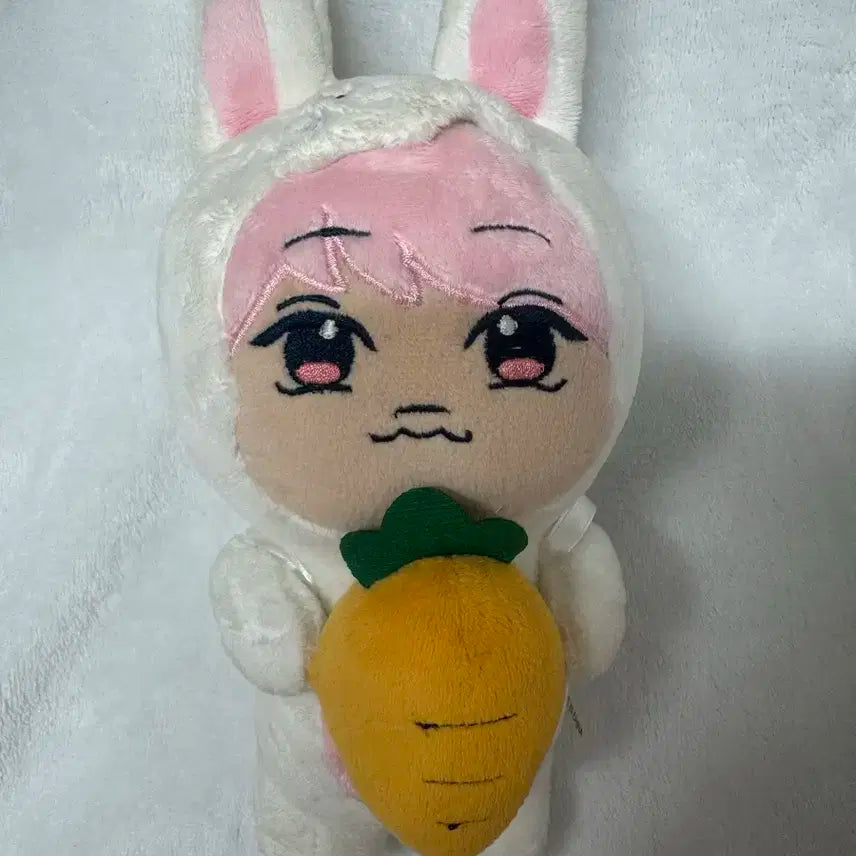 인피니트 성종 인형 누이