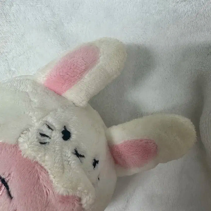 인피니트 성종 인형 누이