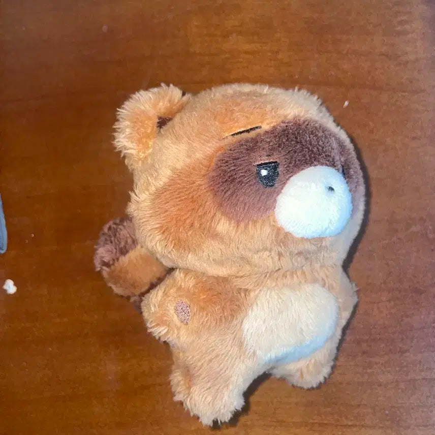 원가 이하 더보이즈 선우 10cm 인형 솜씻선 양도