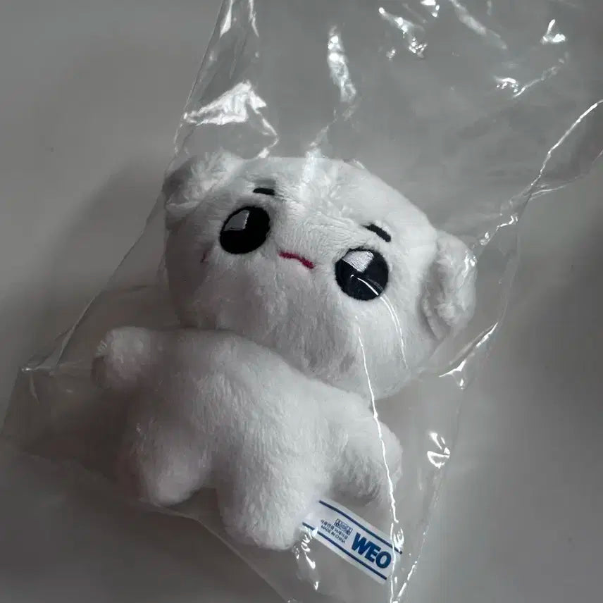 엔시티 태용 인형 툥야 양도