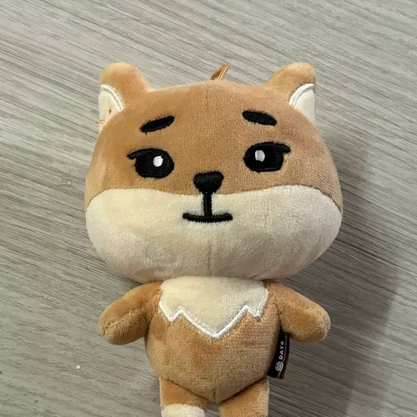 데이식스 데니멀즈 24 케