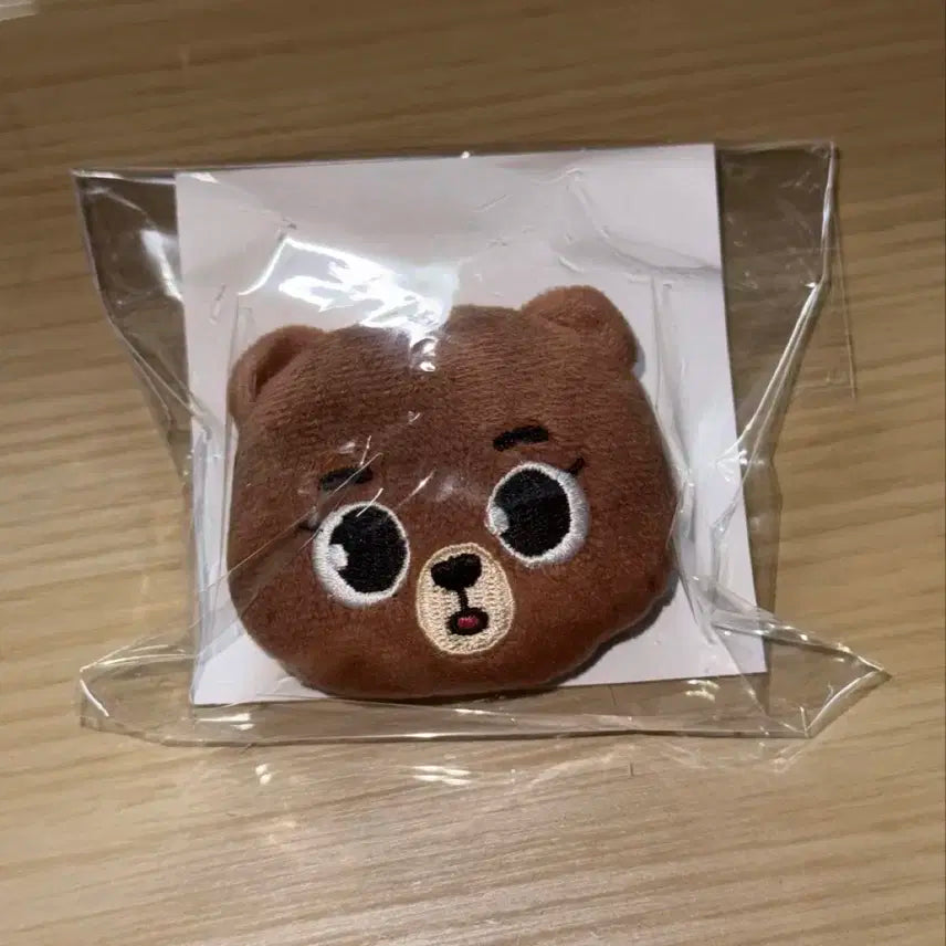 데이식스 요코하마 굿즈 방 핀뱃지 성진