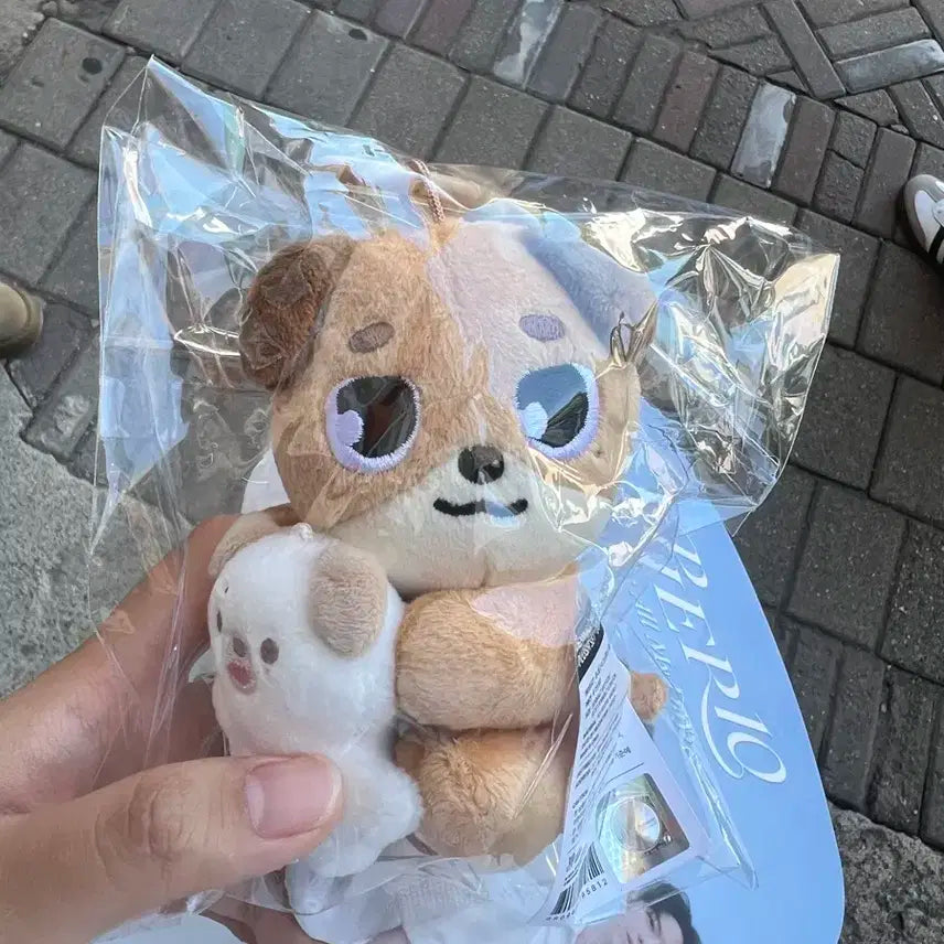 pier 10 데니멀즈 미개봉 마그넷 돈