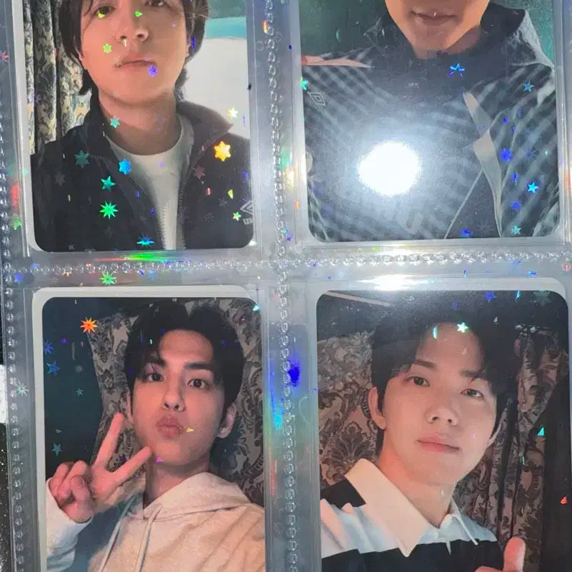 데이식스 엄브로 포카 일괄