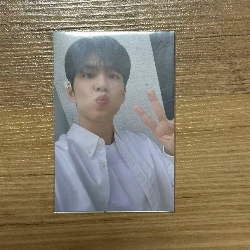 데이식스 원필 코스모폴리칸 포카