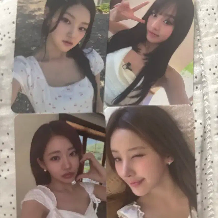 키스오프라이프 콘서트포카