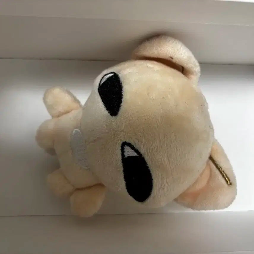양정인 아이엔 인형 양어린녀석