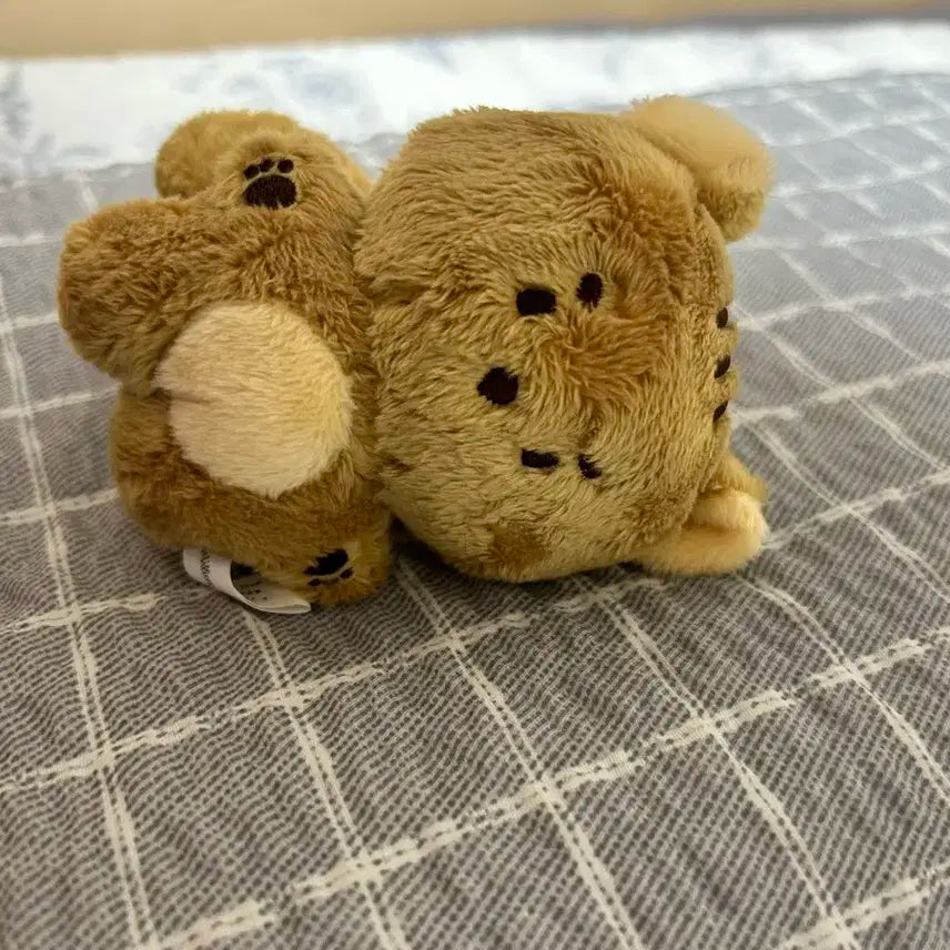 루시 최상엽 엽람쥐 팝니다!