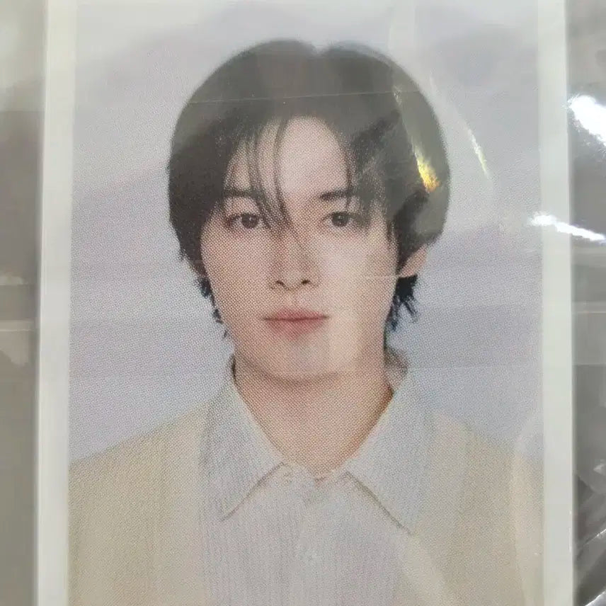 스키즈 리노 포카/증사 일괄