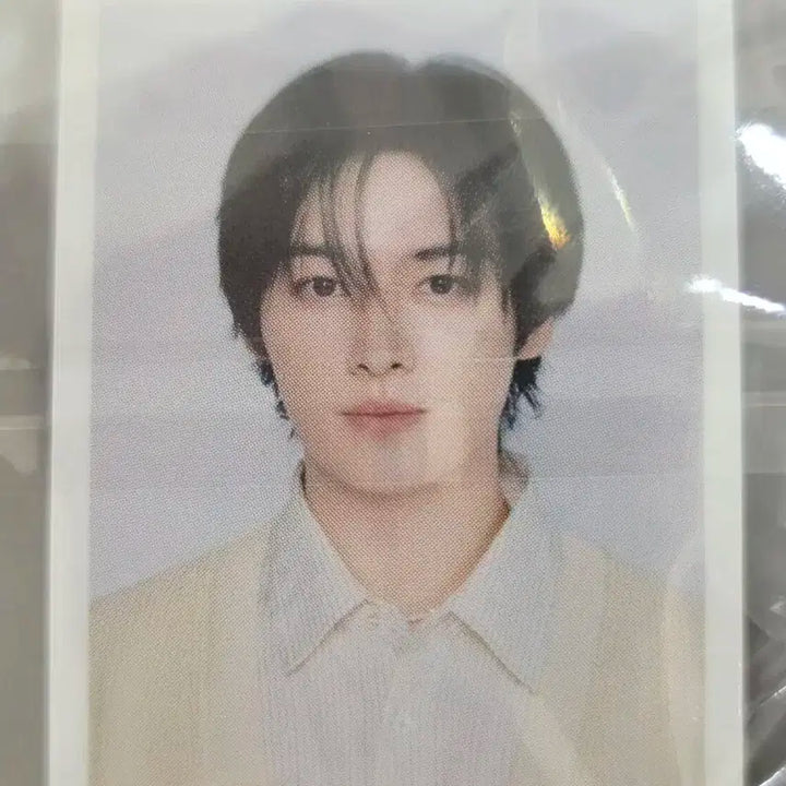 스키즈 리노 포카/증사 일괄