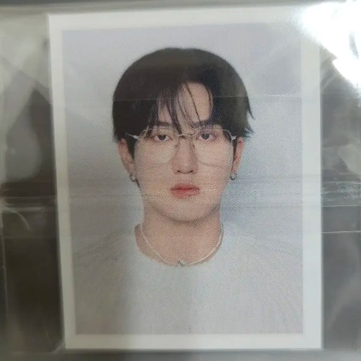 스키즈 창빈 포카/증사 일괄