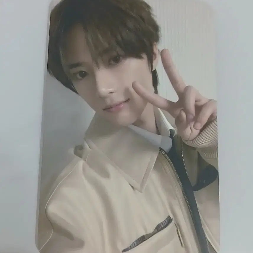 슈러라 디마뮤 2차 범규 포카 투바투