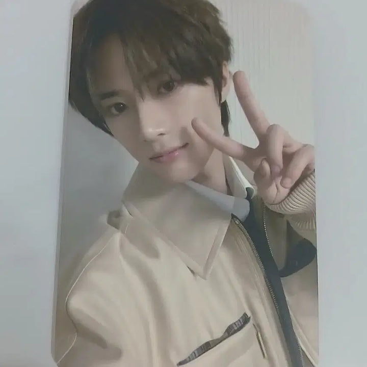 슈러라 디마뮤 2차 범규 포카 투바투