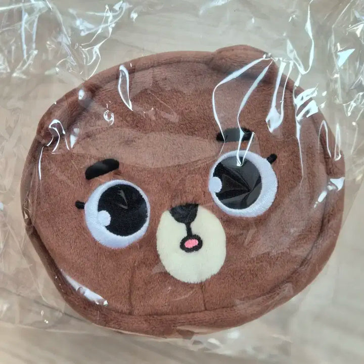데이식스 포에버영 일본 엠디 페이스파우치 방 성진 오사카 요코하마
