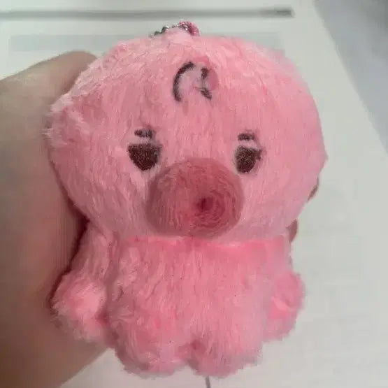 더보이즈 선우 떤코 8cm 키링 인형