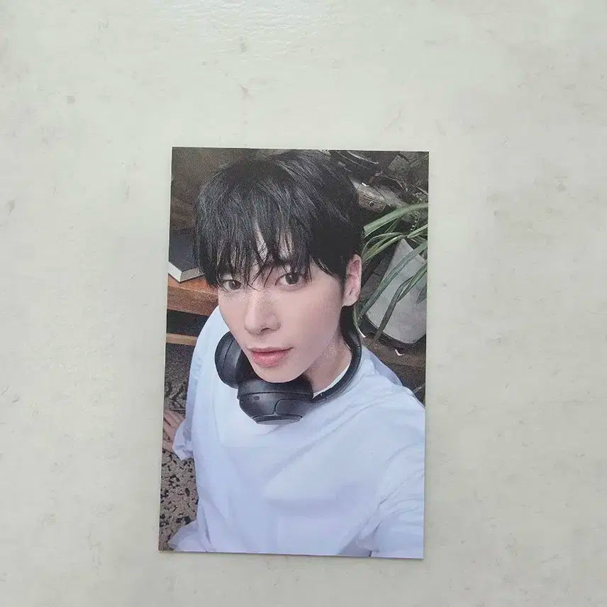 강태현 공방 포카