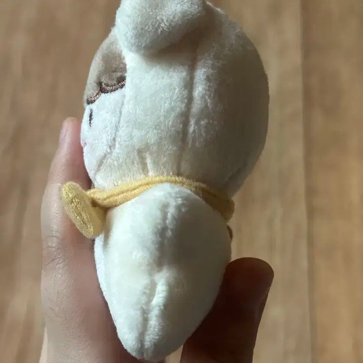 두부젠