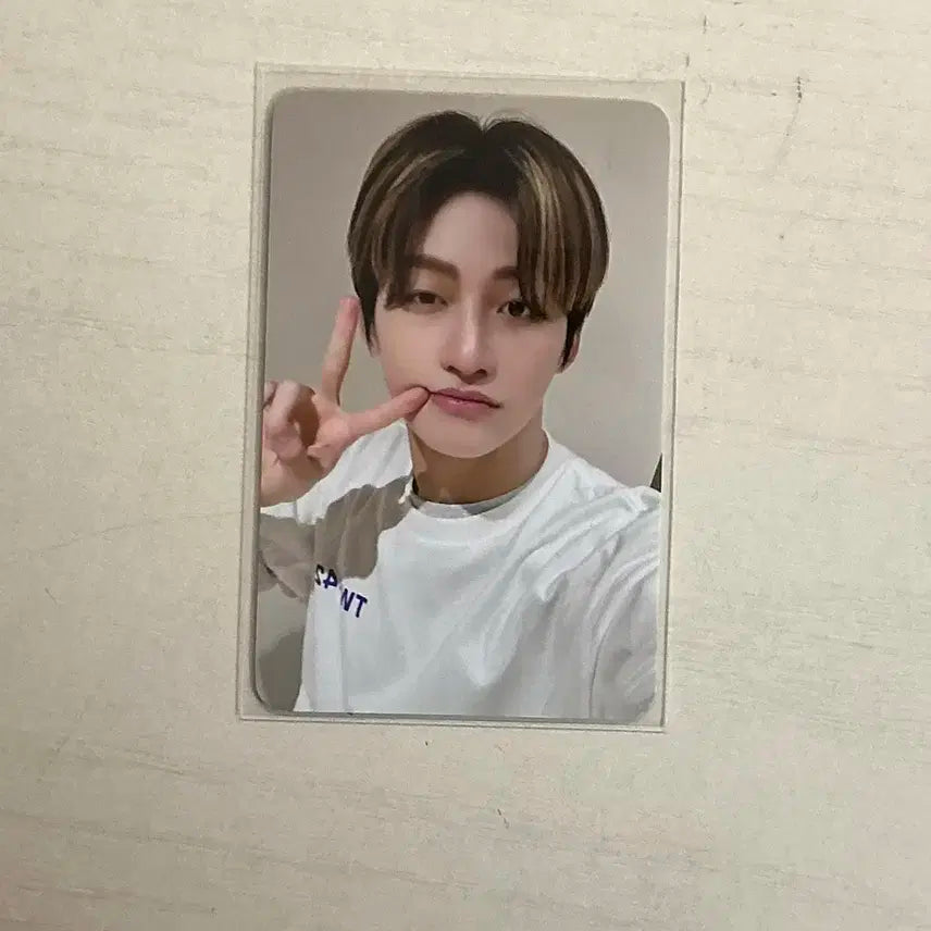 투어스 지훈 파우치 포카