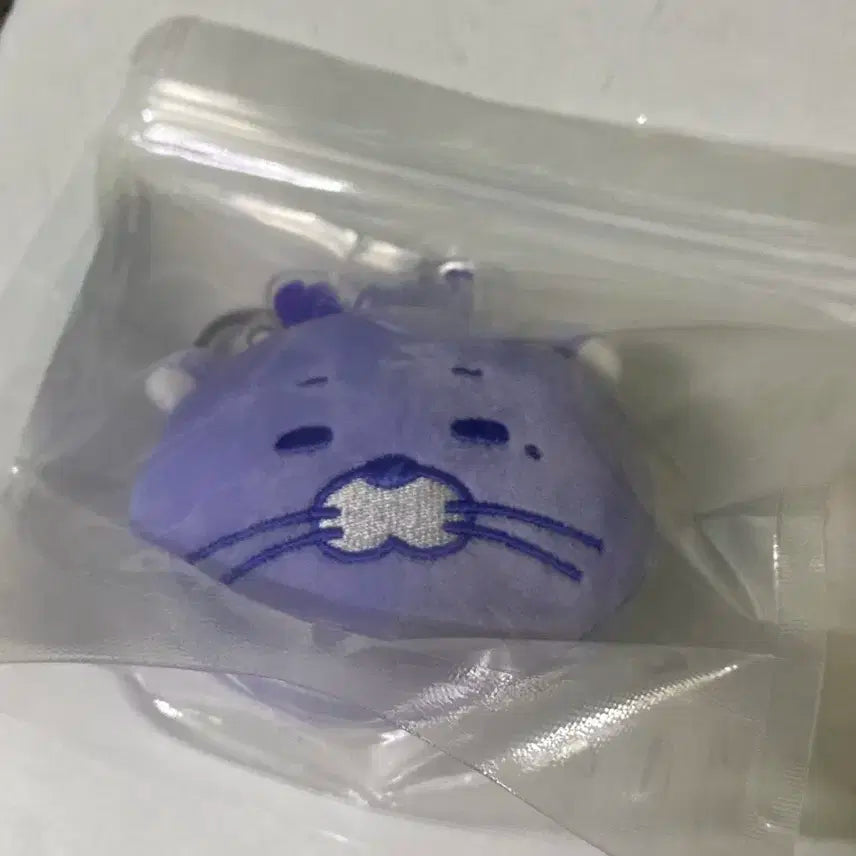 보넥도 노장르 달링 양도