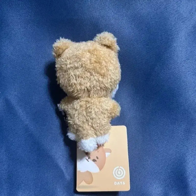 데이식스 인형 데니멀즈 쁘띠멀즈 마그넷 케 케둥이