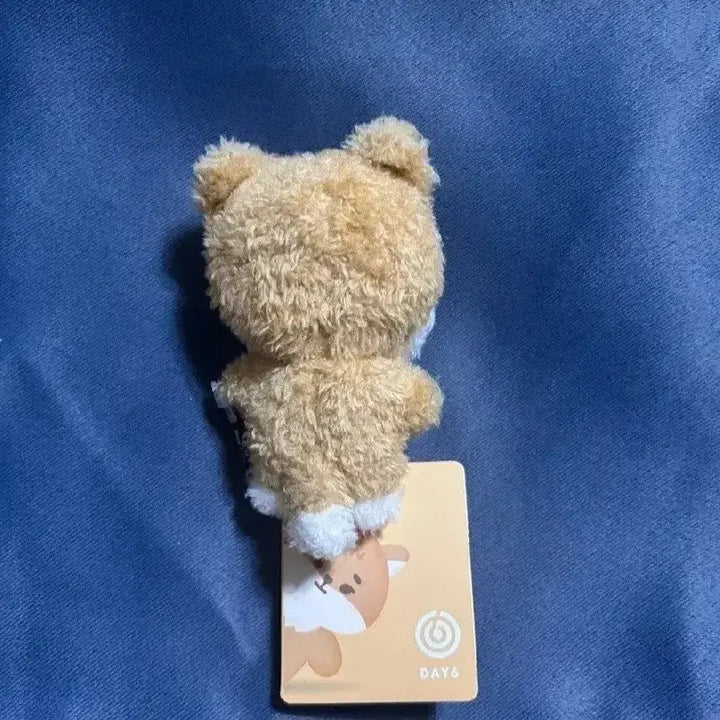 데이식스 인형 데니멀즈 쁘띠멀즈 마그넷 케 케둥이