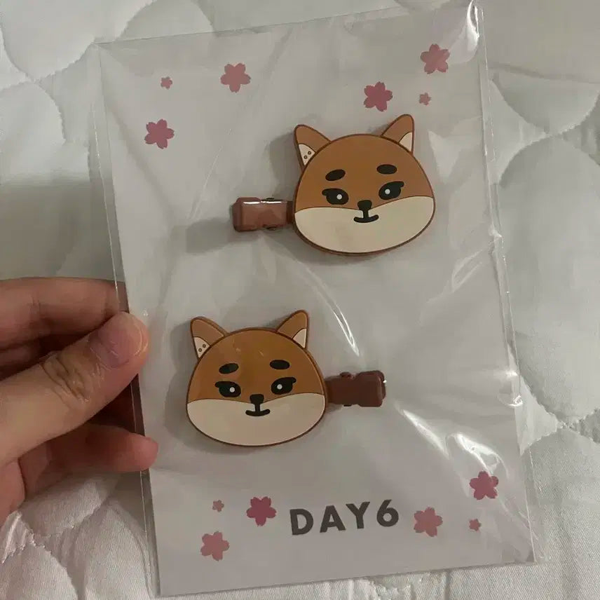 데이식스 요코하마 케 핀 양도 합니다