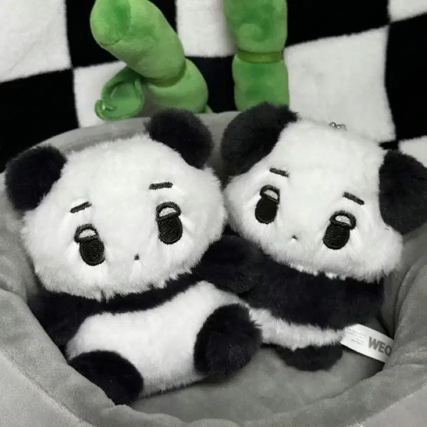 에스파 판다직직이