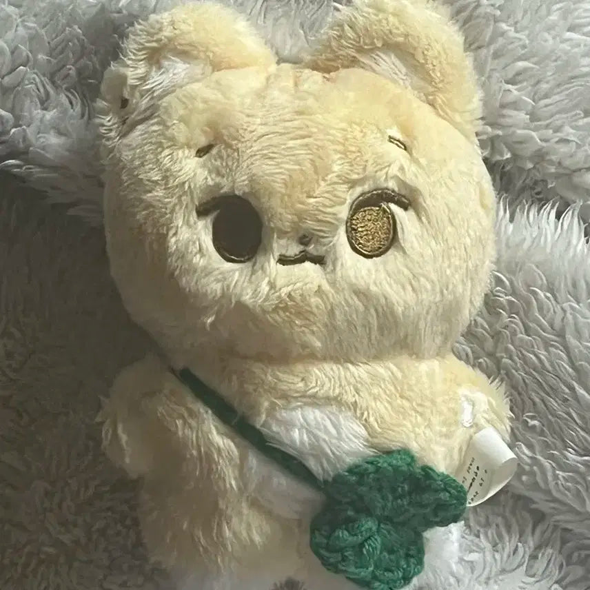데이식스 케냥이 인형