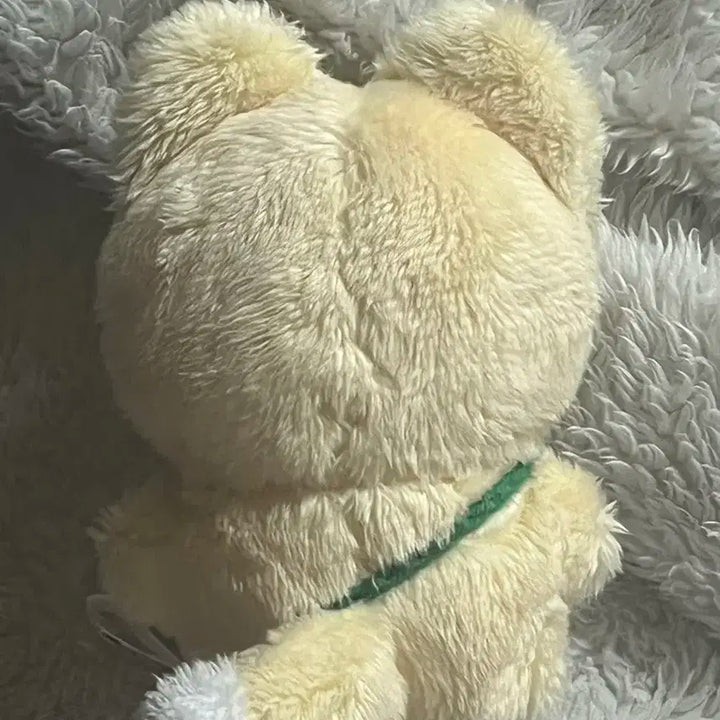 데이식스 케냥이 인형