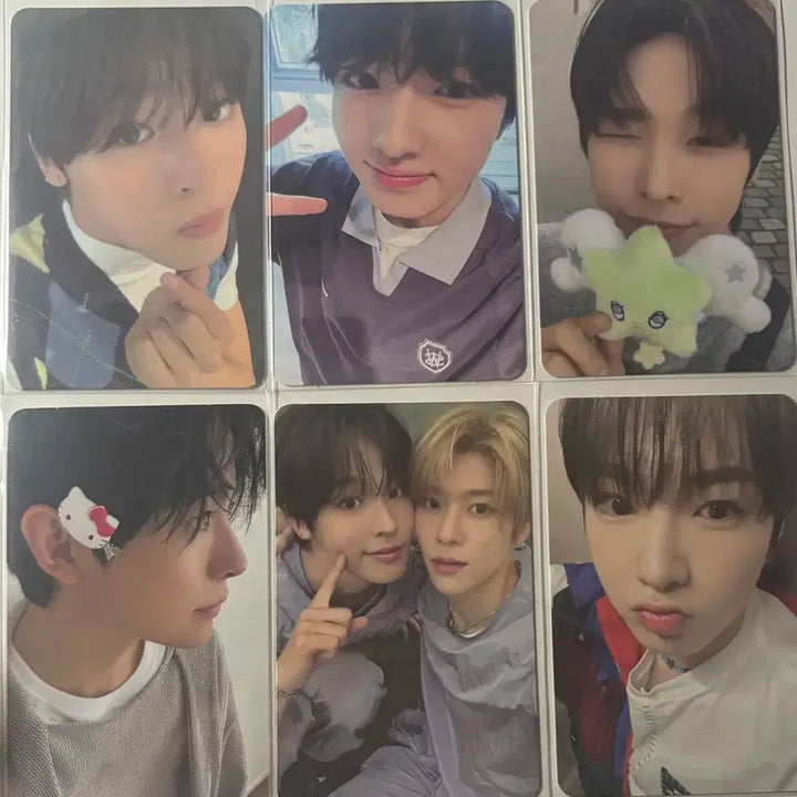 엔시티 위시 포토카드 일괄 판매