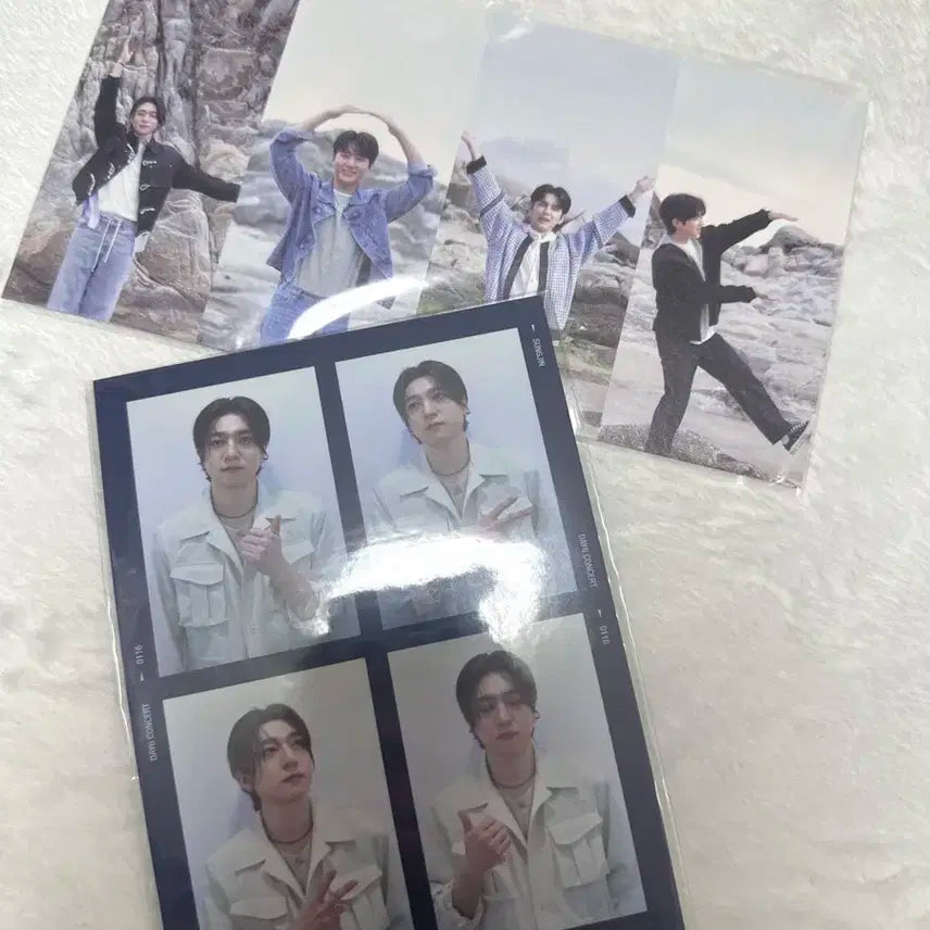 데이식스 벚꽃콘 마데존