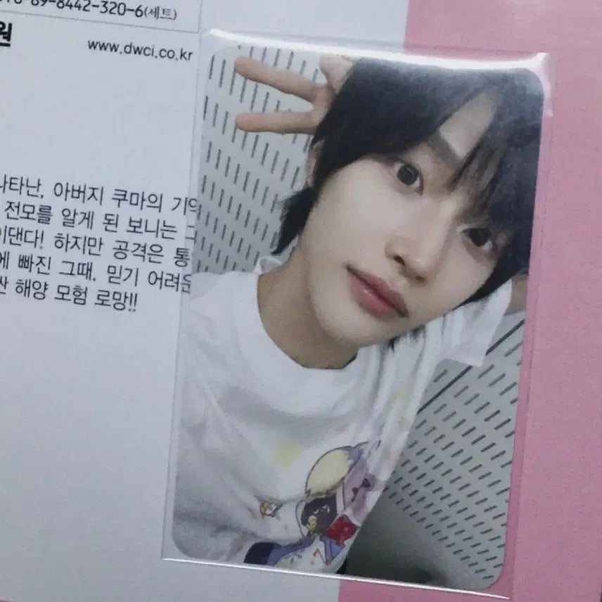 라이즈 원빈 포카