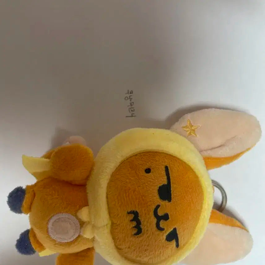 단순개봉(작년팝업때 직접사온 구버전 황춘이)