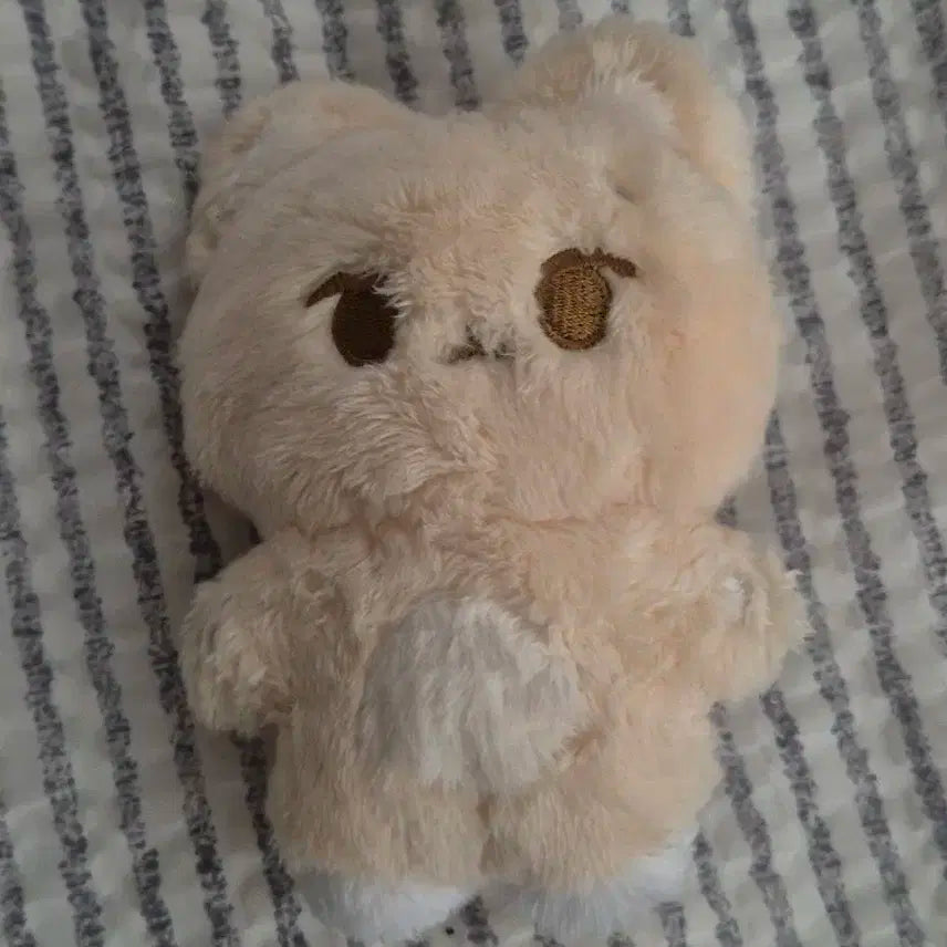 데이식스 영케이 10cm 인형 (케냥이)
