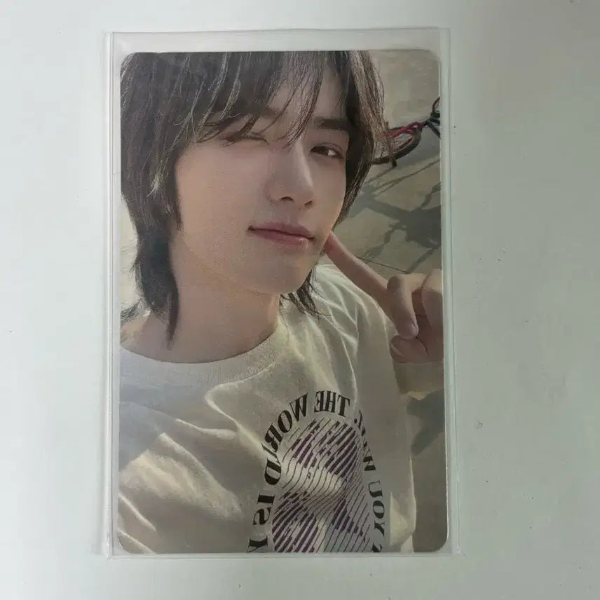 혼돈의 장: 파오이 볼콕범규