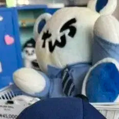 투어스 팝업 베어 인형