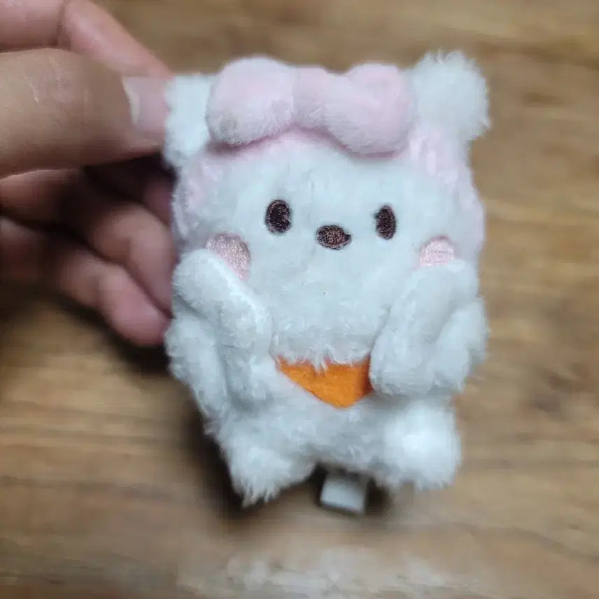 BTS 미미니 베쓰 타임