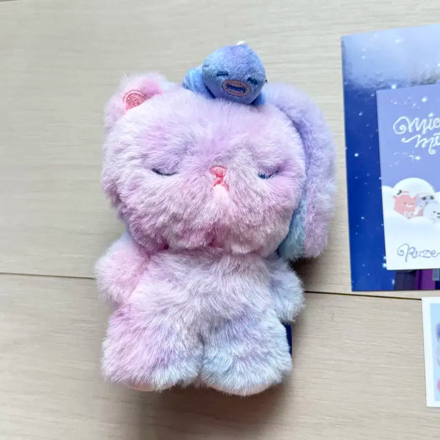 라이즈 보이스키링 토냥덕 원빈 A버젼 풀세트